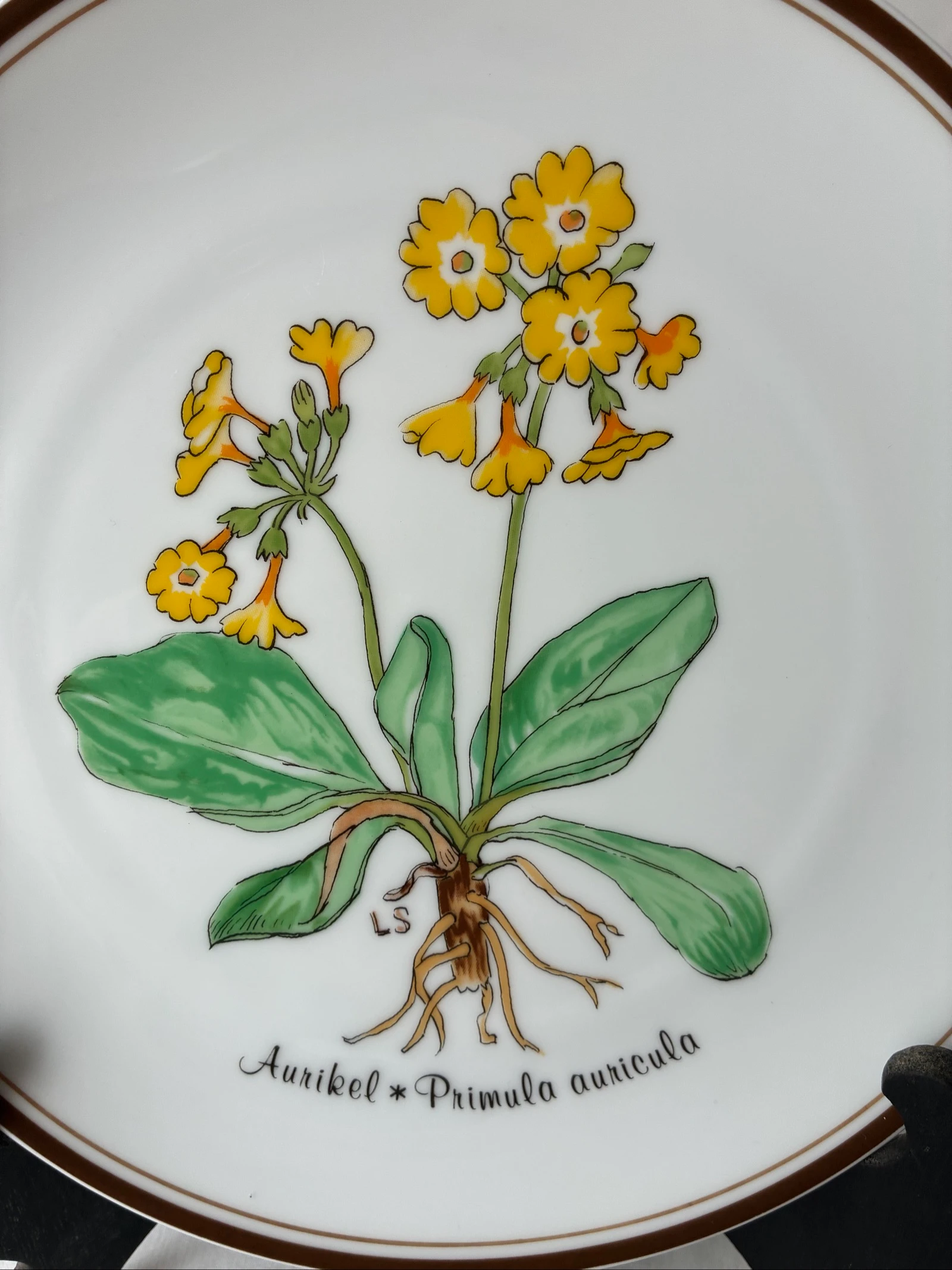 Tablero de pared vintage Rosenthal Classic Rose – Aurikel / Primula auricula (Loki Schmidt 1978) – photo 2